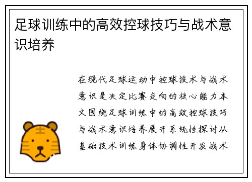 足球训练中的高效控球技巧与战术意识培养